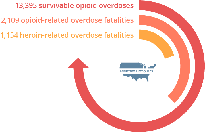 Com Illinois Opioid Overdoses - Addiction Campuses (730x486), Png Download
