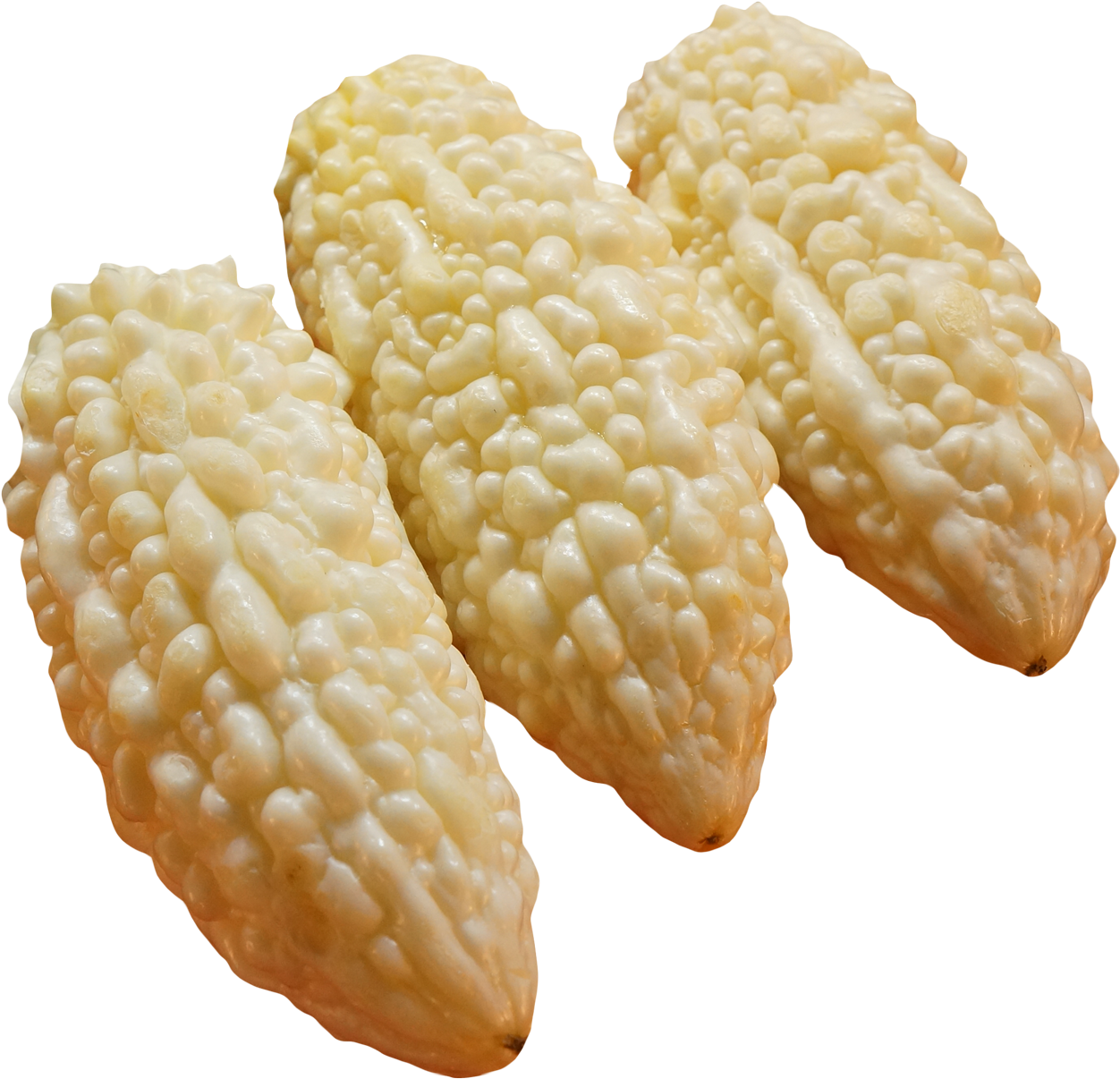 Download White Bitter Gourd Png Image Bitter Melon Full Size Png Image Pngkit