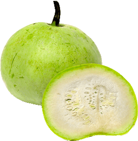 Bottle Gourd Round - Round Bottle Gourd (500x500), Png Download
