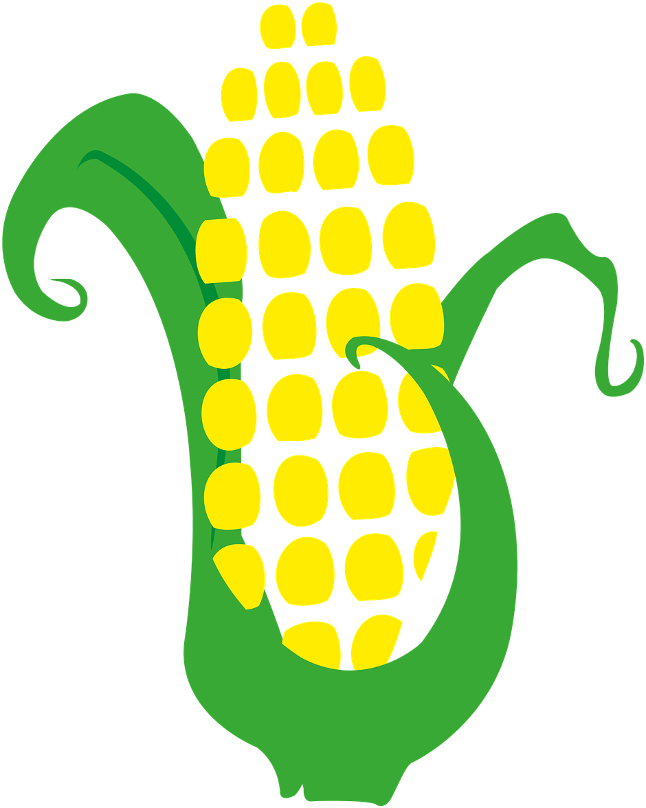 Corn Cob Harvest - Mazorca De Maiz Png (1280x1280), Png Download