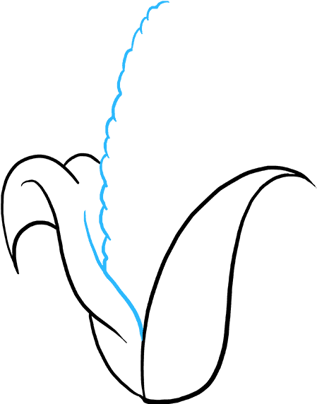 How To Draw Corn Cob - Drawing (680x678), Png Download