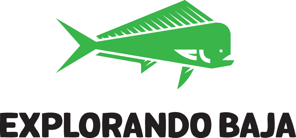 Baja California Peninsula (1029x479), Png Download