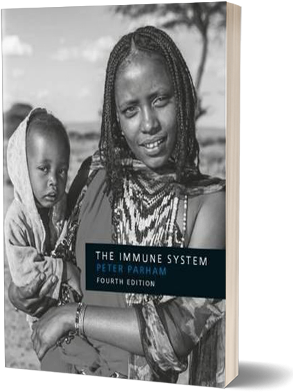 Immune 3d - Immune System By Peter Parham (520x613), Png Download