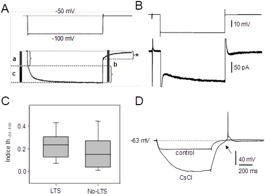 Esquema Del Procedimiento Empleado Para Cuantificar - Technical Drawing (534x398), Png Download