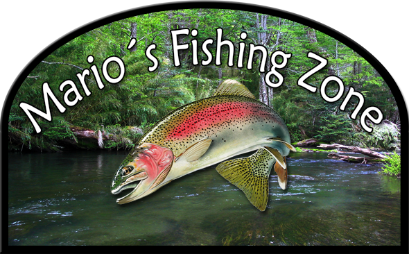 Fishing (590x366), Png Download