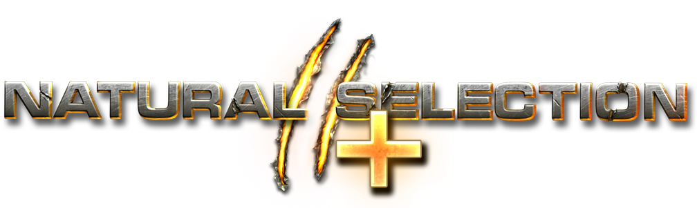 Pz5rrau - Cross (1024x300), Png Download