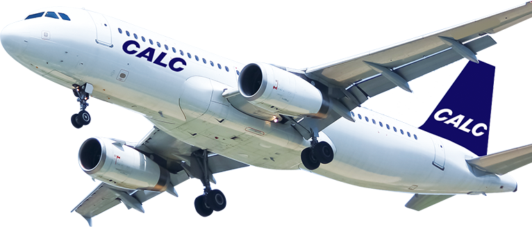 Aircraft Solutions Provider - Aer Lingus (766x327), Png Download