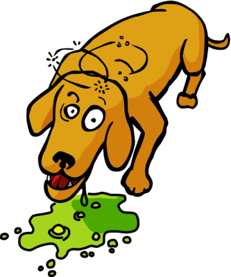 Clip Arts Related To - Dog Vomit Clip Art (333x400), Png Download