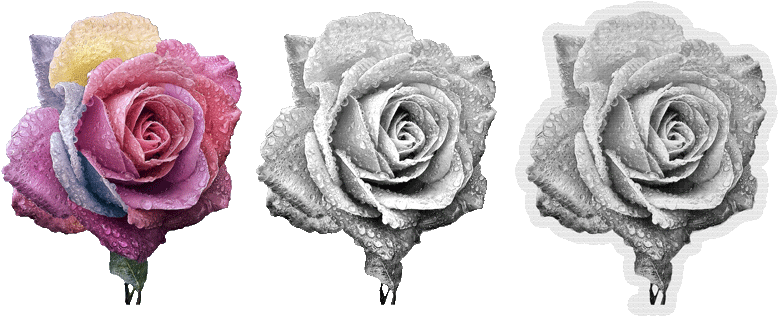 Standard Custom Text Color Me Patch - Address Book. ( Flower Edition Vol. 8 ): Glossy Acts, (800x340), Png Download