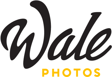 Personal Communication And Attention To Detail Are (500x300), Png Download