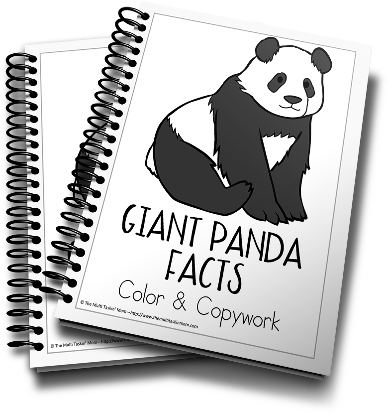 Giant Panda Facts Color And Copywork - Puppy Planner (900x983), Png Download