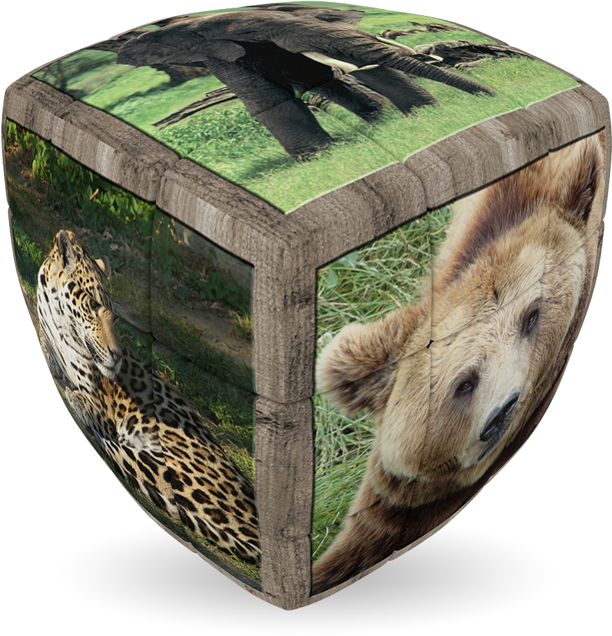Wild Animals - V-cube Wild Animals 2 Pillow (920x920), Png Download