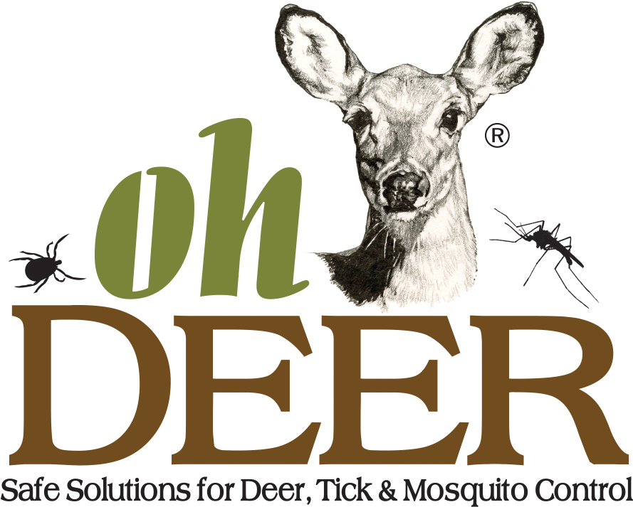 Ohdeer - Nantucket (1070x720), Png Download