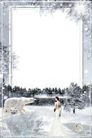 Frost And Cold - Abstrakter Fantasie-schnee Postkarte (298x448), Png Download