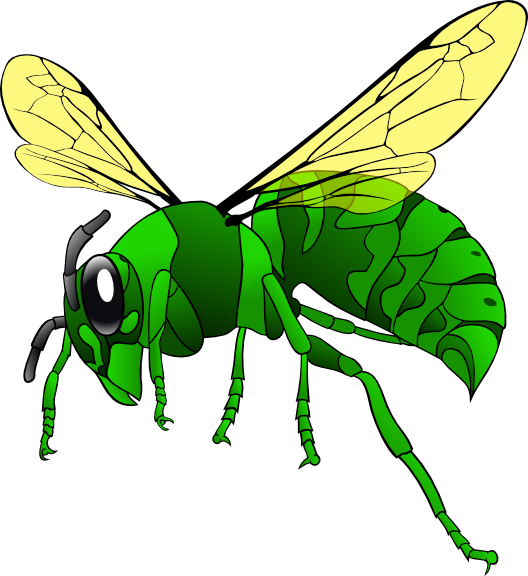 Green Hornet Cartoon (528x576), Png Download