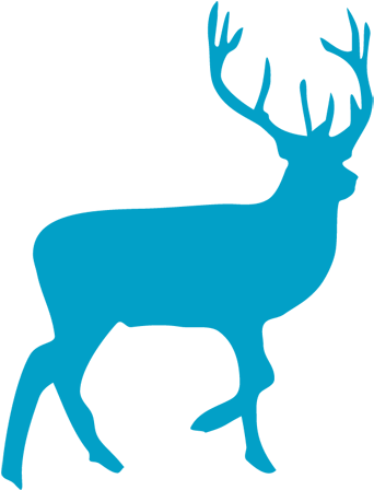 Our Deer Logo - Full Body Deer Stencil (350x451), Png Download