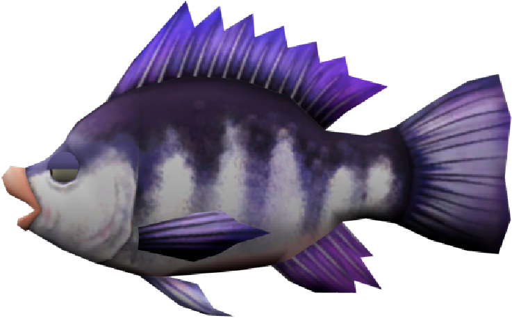 Download Zip Archive - Pomacentridae (750x650), Png Download