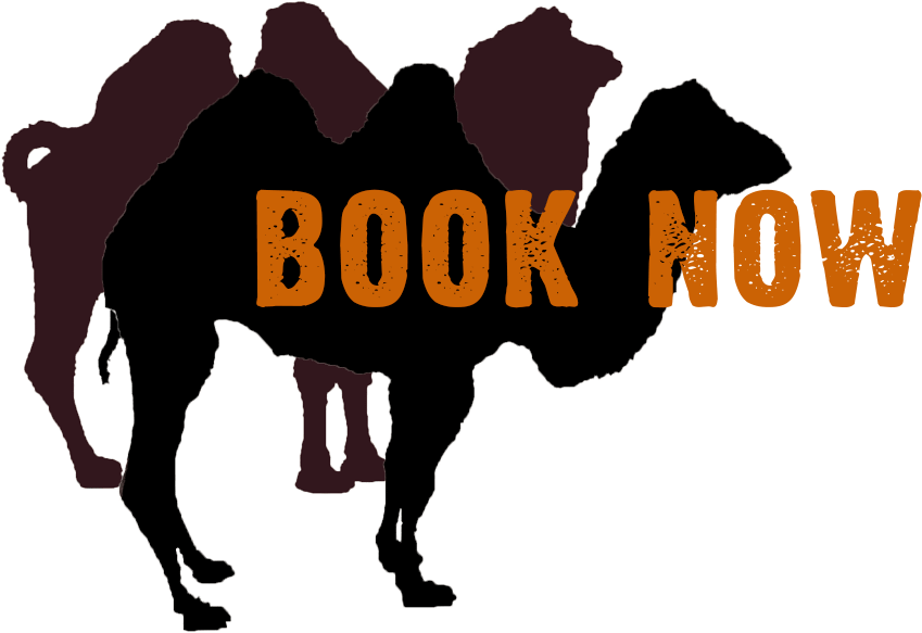 Camel Book Now - Programming Perl (857x618), Png Download