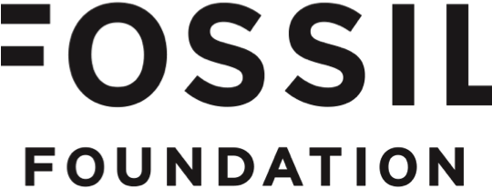 Fossil Group (539x260), Png Download