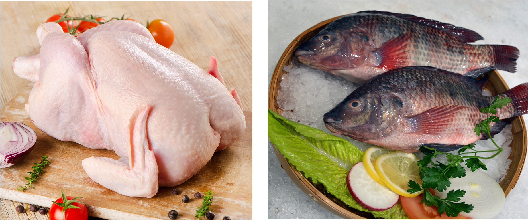 Banner 31 Rep2018 05 21t09 - Tilapia (1920x940), Png Download