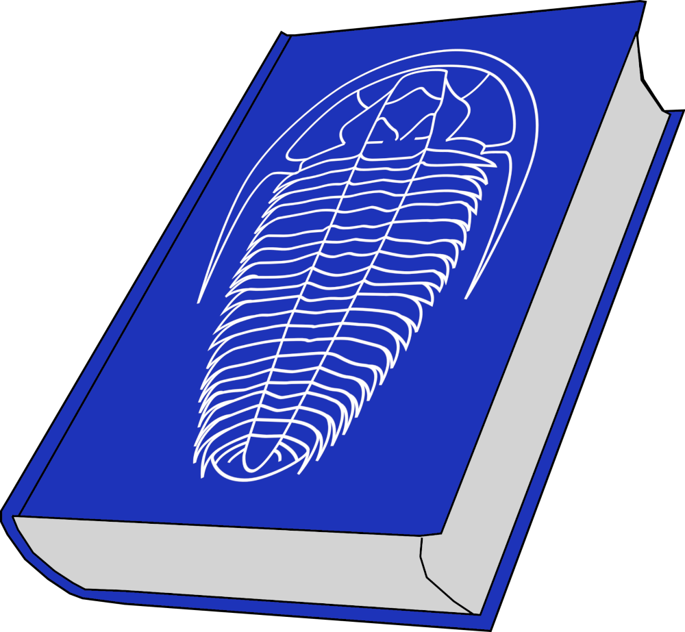 About The Fossil Projects - Old Book (1000x923), Png Download