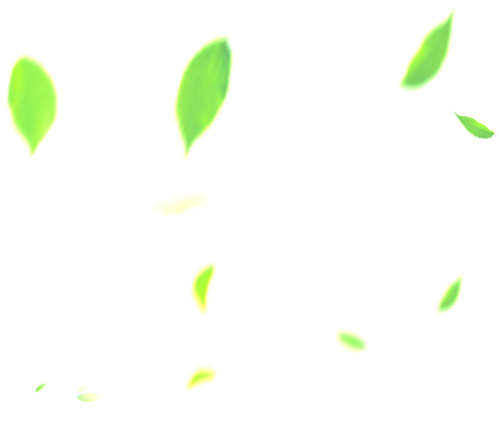 Spring Breeze Falling Leaves Transparent - Hojas De Primavera Png (1024x886), Png Download