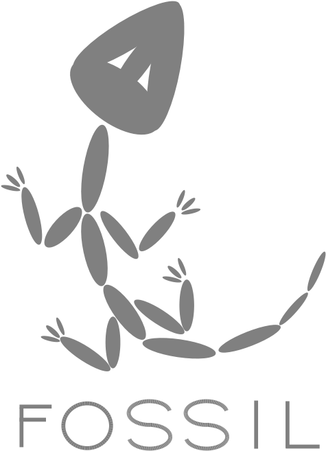 Fossil (500x688), Png Download