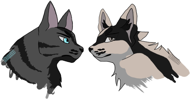 Zico And Spade Oc - Animal Jam Clans (640x347), Png Download