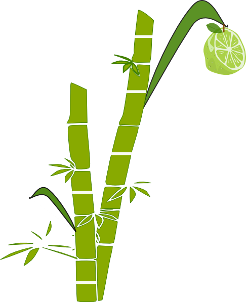 Lemon Clipart Lemon Tree - Clip Art Sugar Cane Clipart (486x597), Png Download