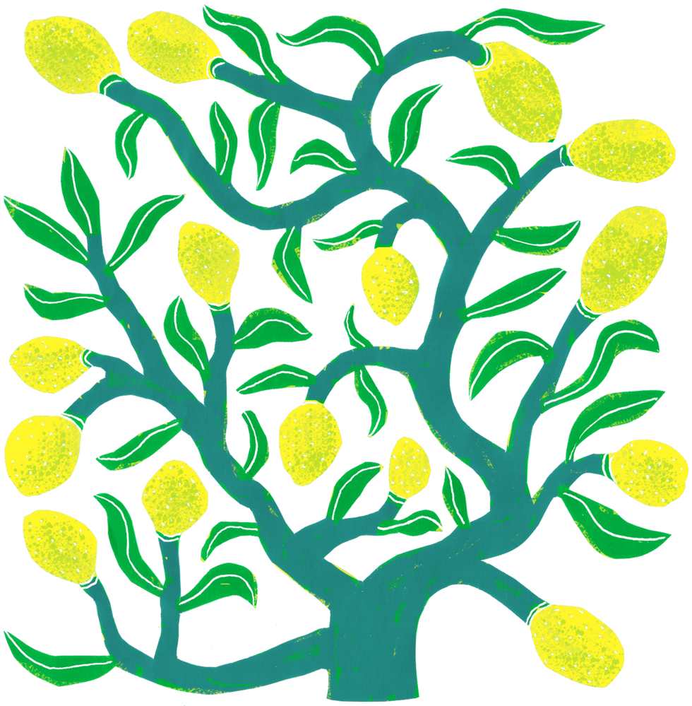 Download Lemon Tree Full Size PNG Image PNGkit