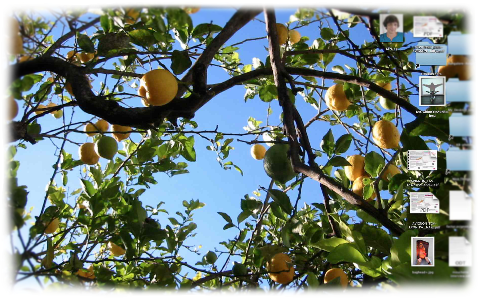 Jpeg 10 Aug 2013 - Citron (1920x1200), Png Download