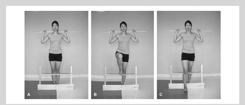 Functional Movement Screen Hurdle Step From Anterior - Movements Of The Body Beginning Position (850x366), Png Download