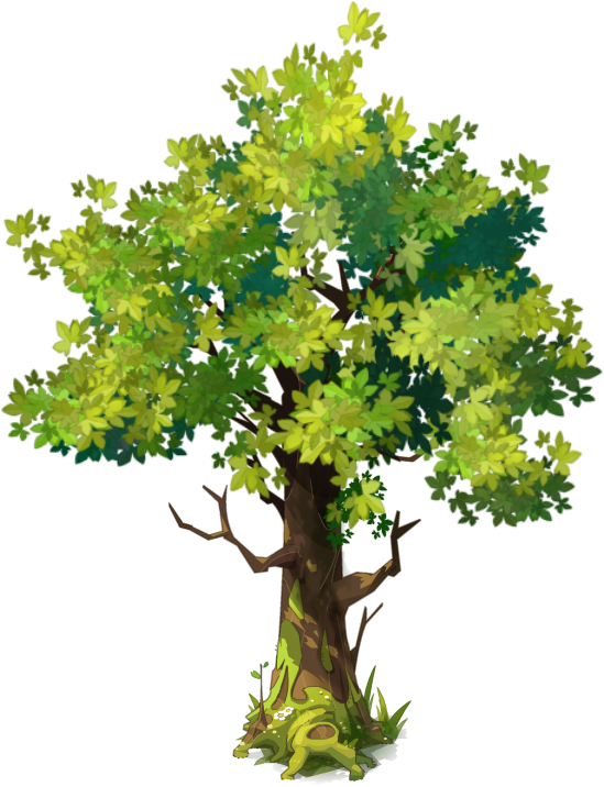 Elm - Drawing (549x716), Png Download