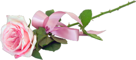 Wifi Transparent Tumblr Download - Rose Pink Tumblr Png (500x250), Png Download