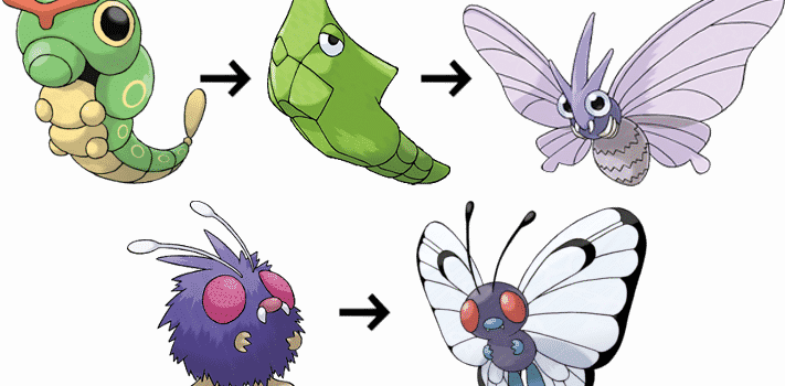 Evoluciones De Metapod Y Venonat - Venonat Evolve (711x350), Png Download