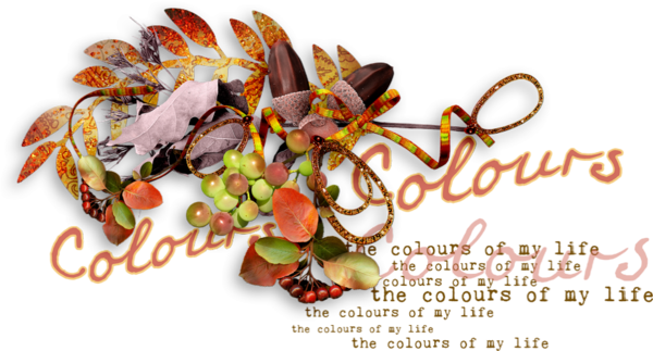 Automne - Raksha Bandhan (600x323), Png Download