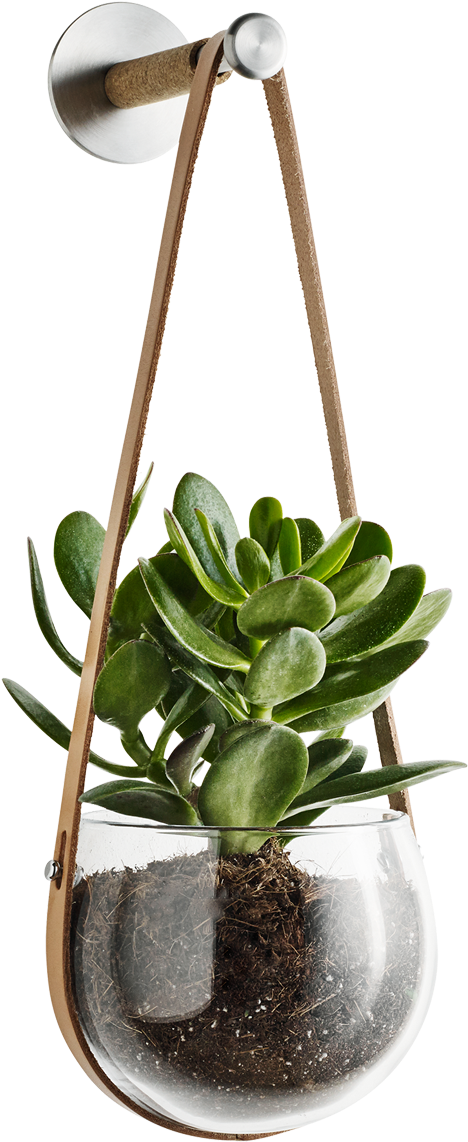 Design With Light Hanging Pot - Holmegaard - Design With Light Hanging Pot, 14 Cm (1200x1200), Png Download