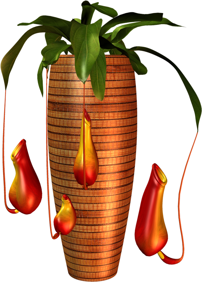 Garden Potplant - Vase (748x1024), Png Download