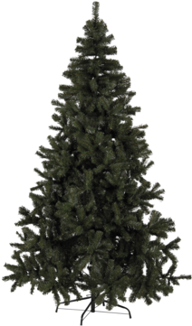 Christmas Tree Quebec Green - Christmas Tree With Light (360x360), Png Download