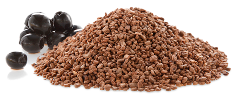 Huesos De Aceituna - Hueso De Aceituna Biomasa (753x330), Png Download