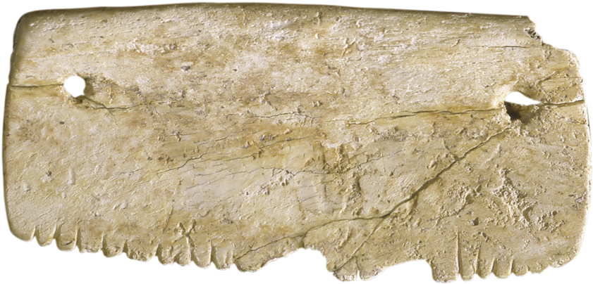 Peine Antiguo De Huesos (924x600), Png Download