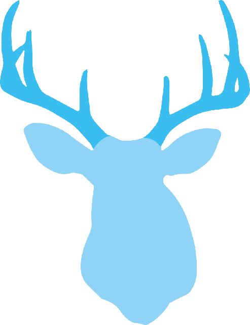 Stags Head Reduced File Size - Antler (493x640), Png Download