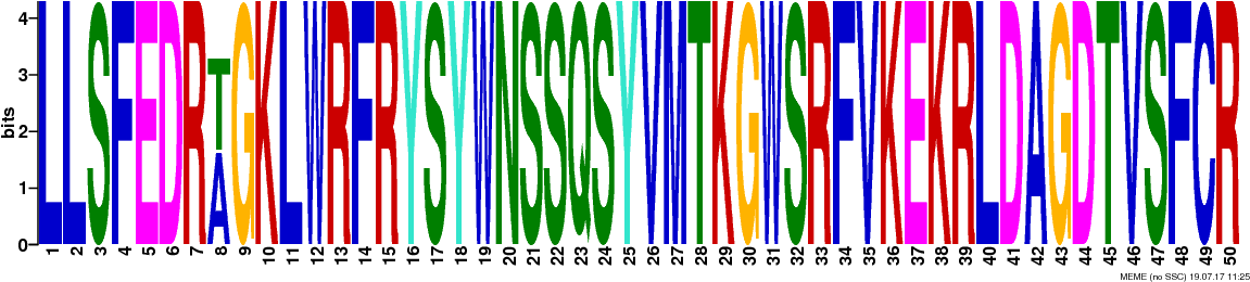 Png Logos Require Convert From Imagemagick - Art (1181x294), Png Download