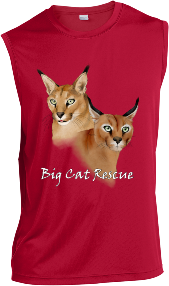 Bcr Chaos And Cyrus Caracal Color St352 Sport Tek Sleeveless - Ceramic (1155x1155), Png Download