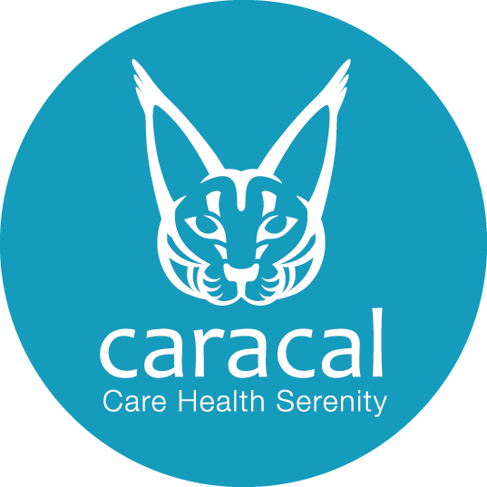 Tal Tsafrir (537x537), Png Download