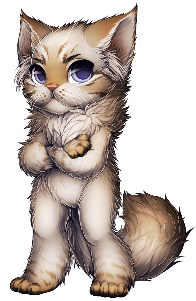 9ensfgv - Persian Cat (850x1338), Png Download