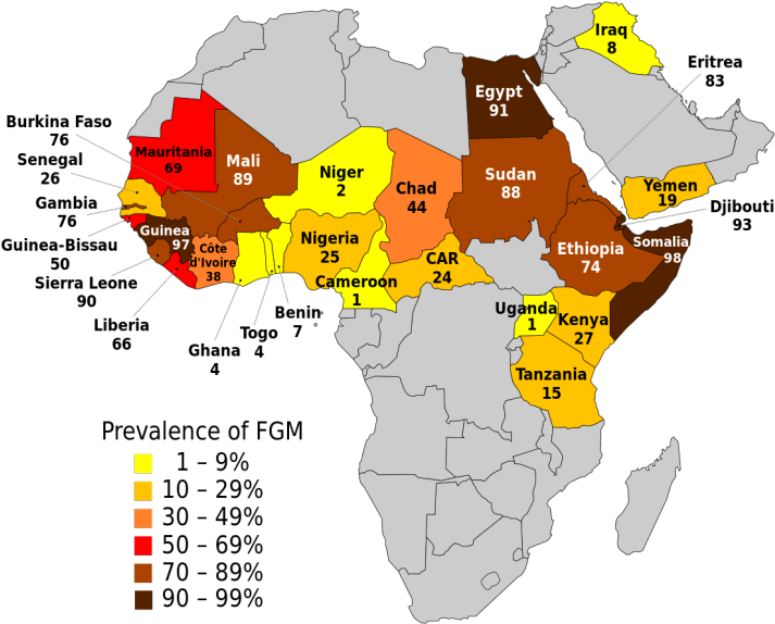 Nigeria Bans Female Genital Mutilation - Female Circumcision (720x581), Png Download