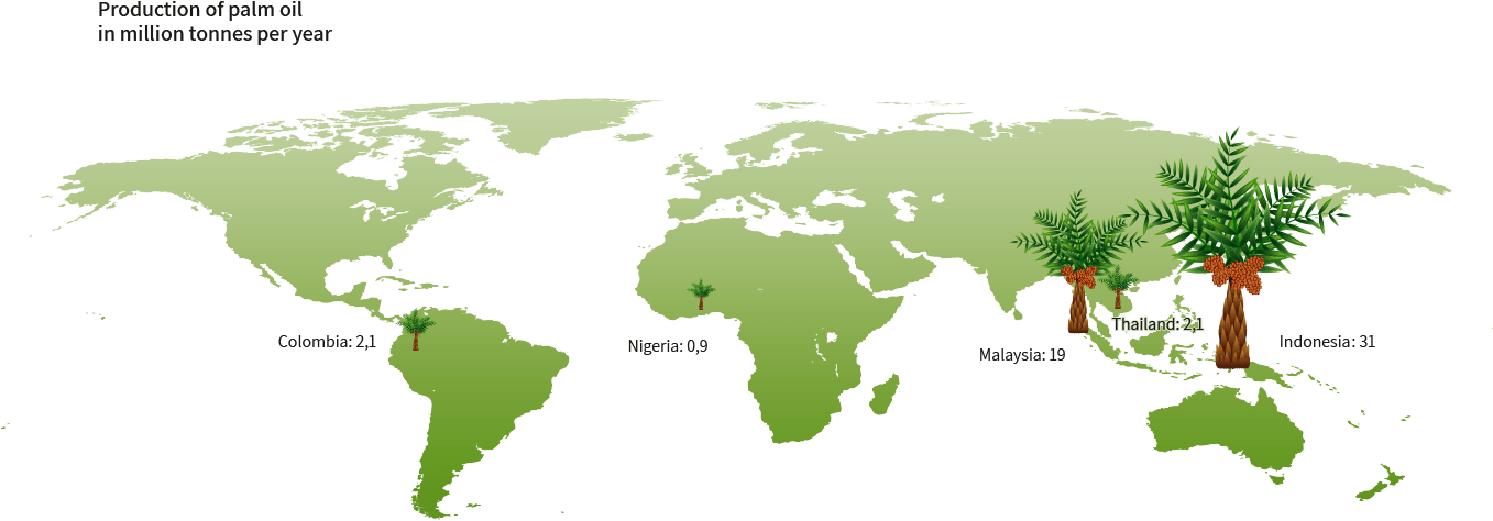 Politics Of International Organizations: Views (1371x638), Png Download