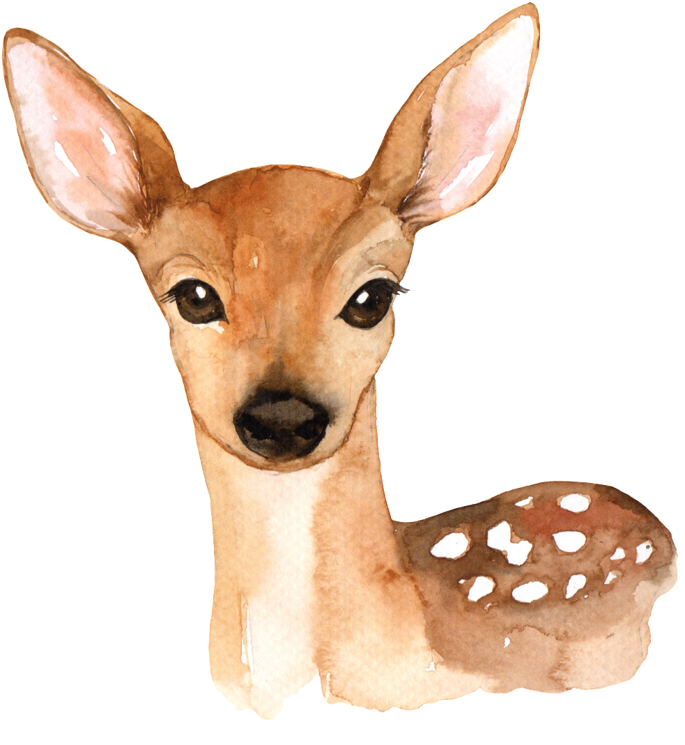 Hand Painted A Cute Deer Png Transparent - Woodland Animals Printables Free (1024x1080), Png Download
