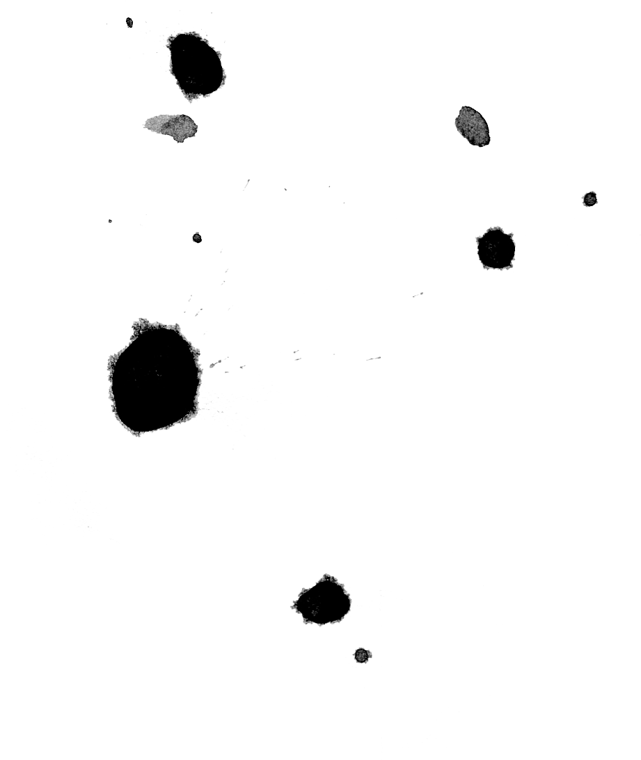 Each Image Is A Png, Which Means It Dosen't Have A - Monochrome (2000x2000), Png Download